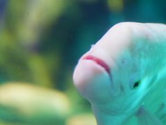 -泉州海丝野生动物世界