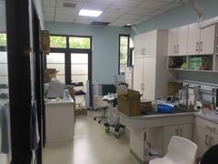 -美联众合宠物医院·爱萌分院·内外科·猫科中心