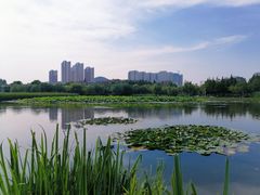 -前关湿地公园