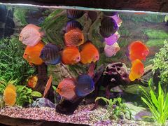 -上海海洋水族馆