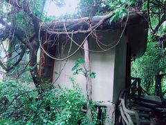 -青青世界