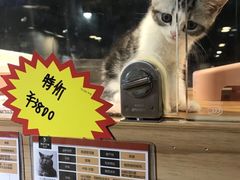 -宠物世家(仲盛世界商城店)