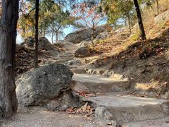 -北京十三陵国家森林公园蟒山景区