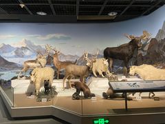 -陕西自然博物馆