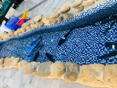 -庭苑美食中心·陈皮烧鹅·海鲜(台山店)