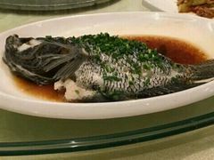 -龙景轩大酒店(宝杨路店)