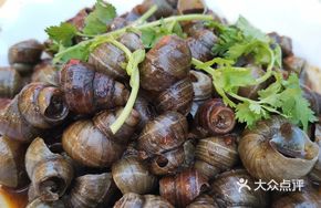 Pan-fried Snail