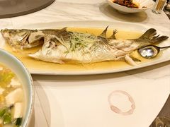 -国惠大酒楼(宝龙店)