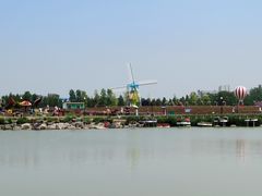 -荷兰花海