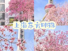 -东方明珠广播电视塔