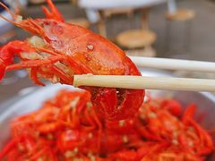 -狮龙啤酒烧烤屋(建二路店)