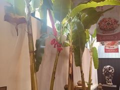 -单家老院·院子里的青岛菜(沙子口店)
