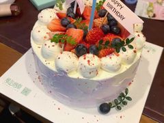 -维尔纳斯·生日蛋糕动物奶油冰淇淋蛋糕(人大店)