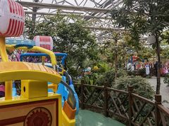 -南宫五洲植物乐园