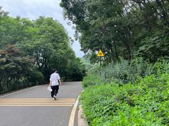 -南京市无想山景区