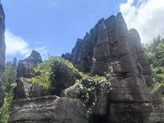 -梭布垭石林景区