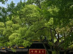 -宝岩生态观光园