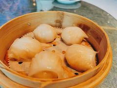 -金悦轩海鲜酒家(拱北店)