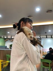 -Moni星球萌宠·小马宝莉·灵蛇·高端高阶全萌宠互动体验俱乐部(红豆国际广场店)
