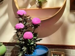 -山水茶艺馆·点心粤菜·30年老字号