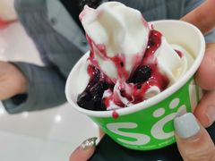 -Salud撒露欧洲冻酸奶(五道口购物中心店)