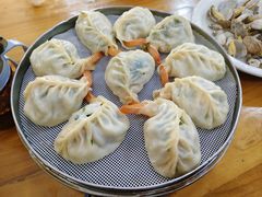 -小叶大馅饺子城