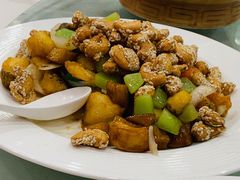 -黄埔华苑酒家(黄埔总店)