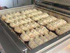 -周震馄饨