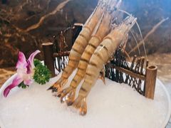 阿根廷红虾-捞神汤物料理(正大广场店)