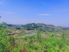 -四明山国家森林公园
