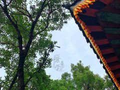 -塔尔寺