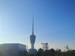 -梧桐山风景名胜区