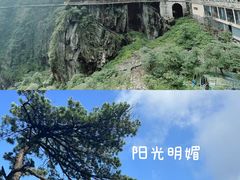 -仰天湖大草原