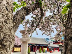 -天津大悲禅院