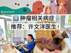 -派美特宠物医院·核磁CT·骨科肿瘤·疑难转诊(沈农禾丰店)