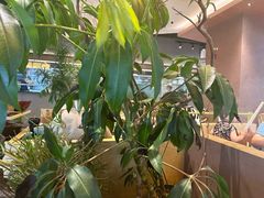 -山缓缓火锅(苏州仁恒仓街店)