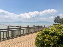-呈贡滇池生态湿地公园