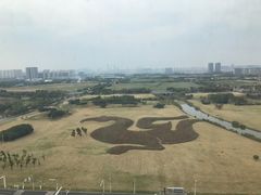 -无锡新湖铂尔曼大酒店