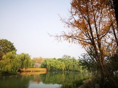 -圩墩遗址公园