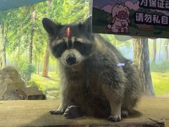 -大连圣亚海洋世界