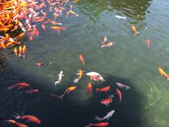 -湘拾(壹方北馆店)