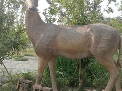 -溱湖国家湿地公园