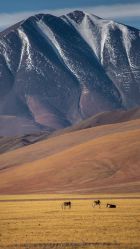 -熙画美上门MakeUp美甲美睫