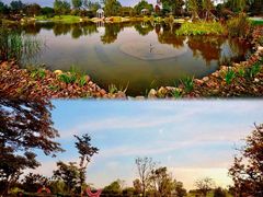 -鹅湖玫瑰文化园