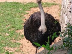 -沈阳森林动物园