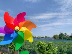 -金谷域澳洲庄园