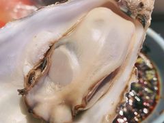 清蒸生蚝-蚝翅·海鲜粥·烧烤·宁夏滩羊季(玉米楼店)
