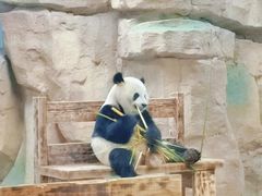 -无锡动物园·太湖欢乐园