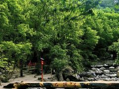 -陕西省红河谷森林公园