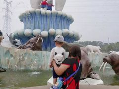 -芜湖新华联大白鲸海洋公园